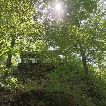 Holiday home Burgberg Schoellnstein *