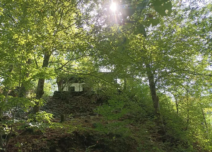 Ferienhaus Burgberg Schöllnstein *